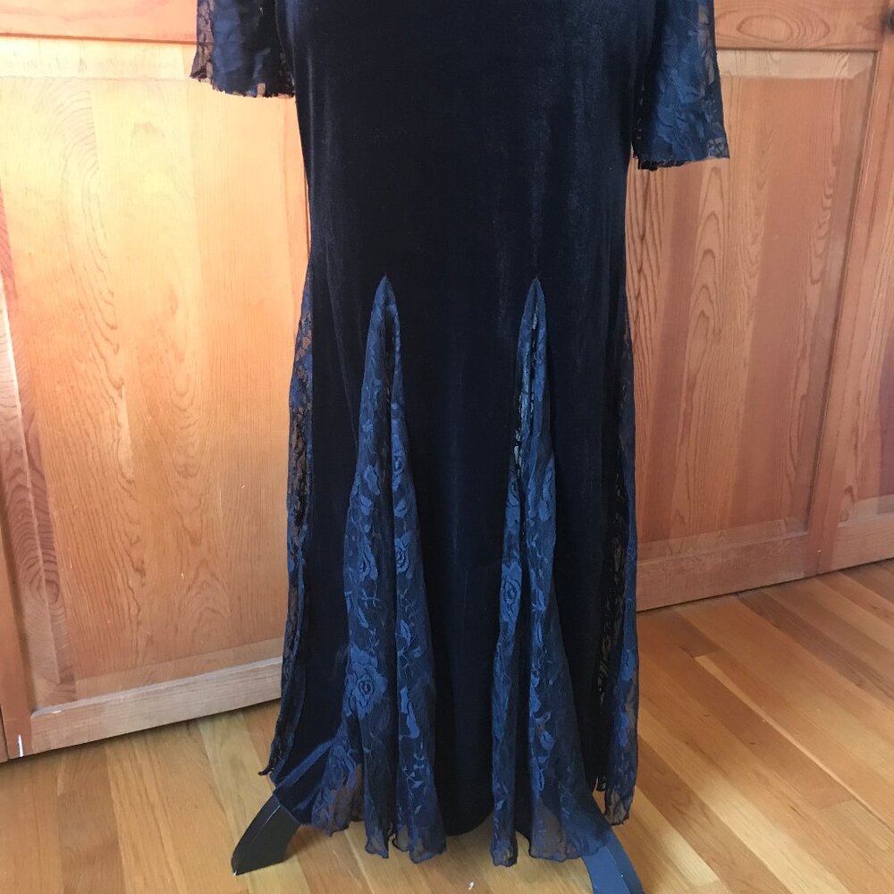 Gothic Victorian Flowers of Evil Black Velvet & Lace Morticia Gown Dress - Picture 5 of 13